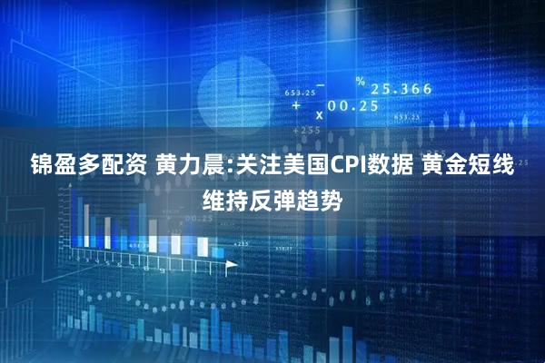 锦盈多配资 黄力晨:关注美国CPI数据 黄金短线维持反弹趋势