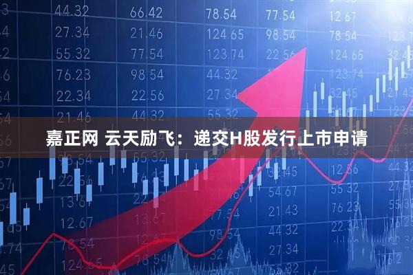 嘉正网 云天励飞：递交H股发行上市申请