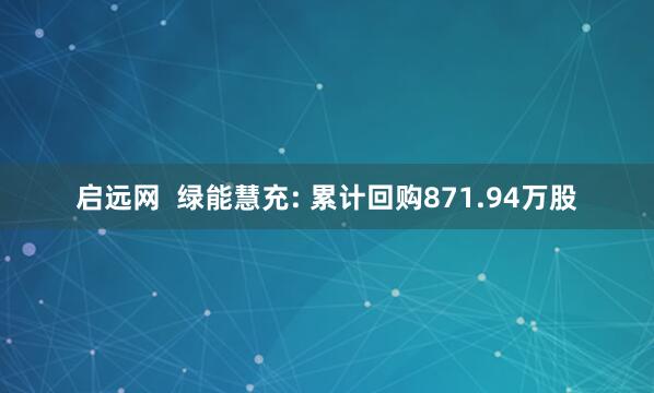 启远网  绿能慧充: 累计回购871.94万股